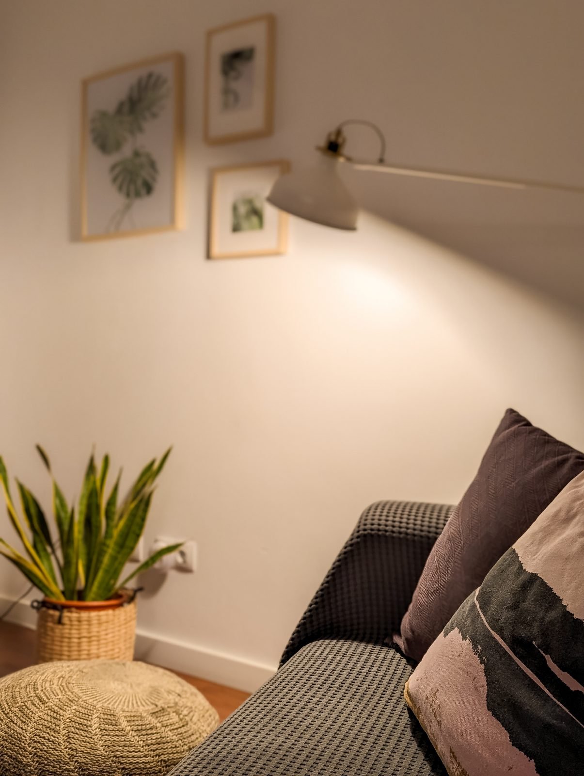 Cosy corner with plant and cushion